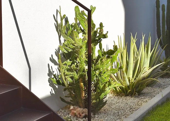 Nacari ジャルディーニ・ナクソス