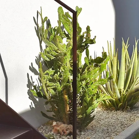 Nacari Giardini-Naxos